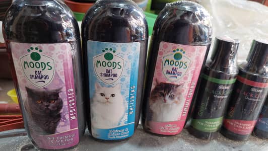 ALL CAT ACCESSORIES