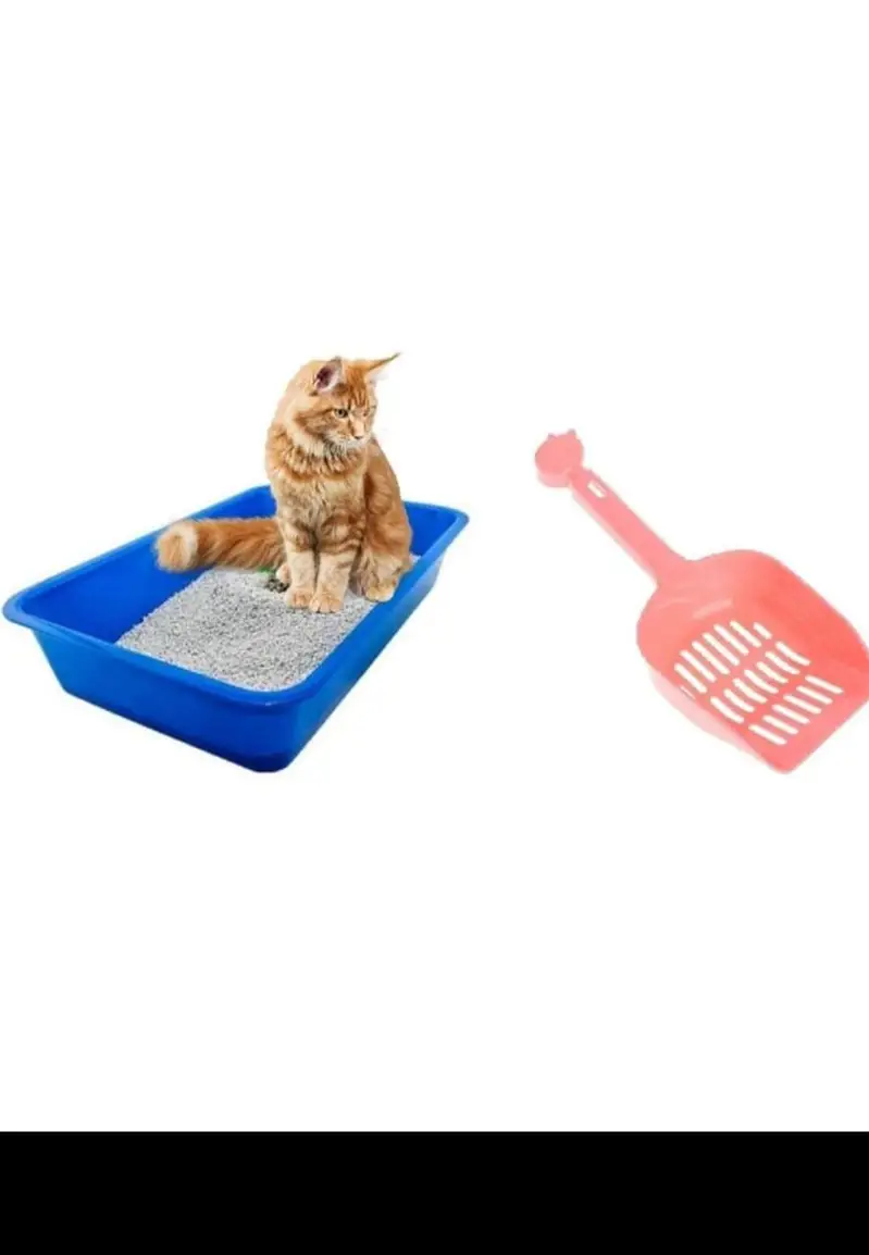 ALL CAT ACCESSORIES — photo 3