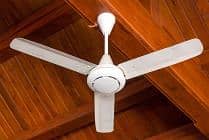 PAK FANS 56" CEILING FANS FOR SALE