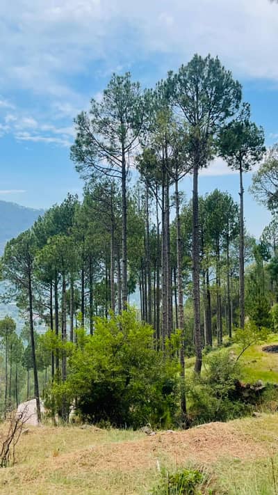 5 Marla Possession Plots Available For Sale On Murree Expressway