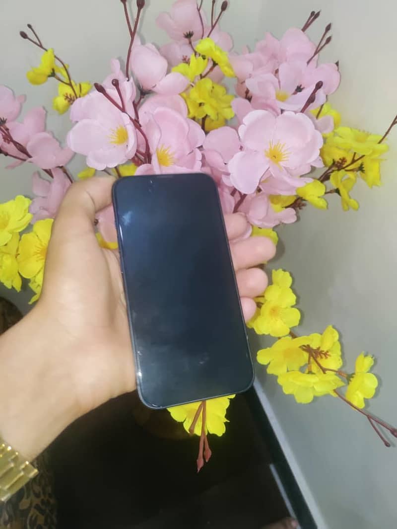 Apple iPhone 14 3