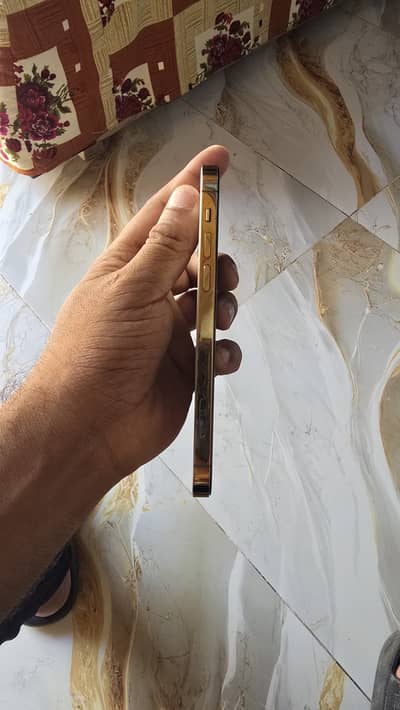 Apple iPhone 12 Pro Dual physical pta approved
