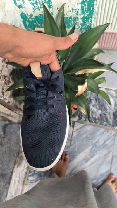 Clark's Men Sneakers