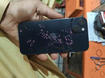 Apple iPhone 13