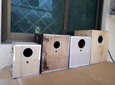Breefing Boxes for sale Read full ad 03129196869
