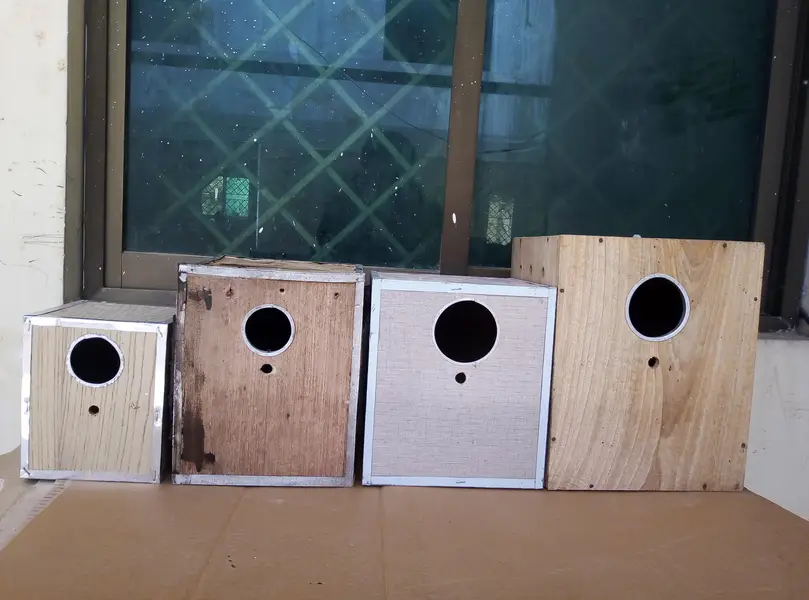 Breefing Boxes for sale Read full ad 03129196869 — photo 3
