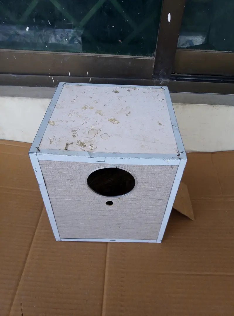 Breefing Boxes for sale Read full ad 03129196869 — photo 7