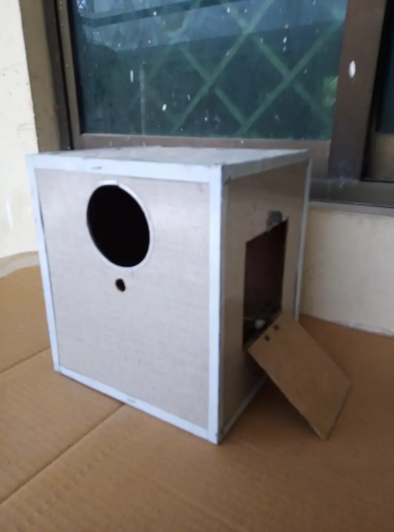 Breefing Boxes for sale Read full ad 03129196869 — photo 8