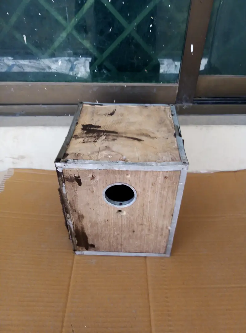 Breefing Boxes for sale Read full ad 03129196869 — photo 9