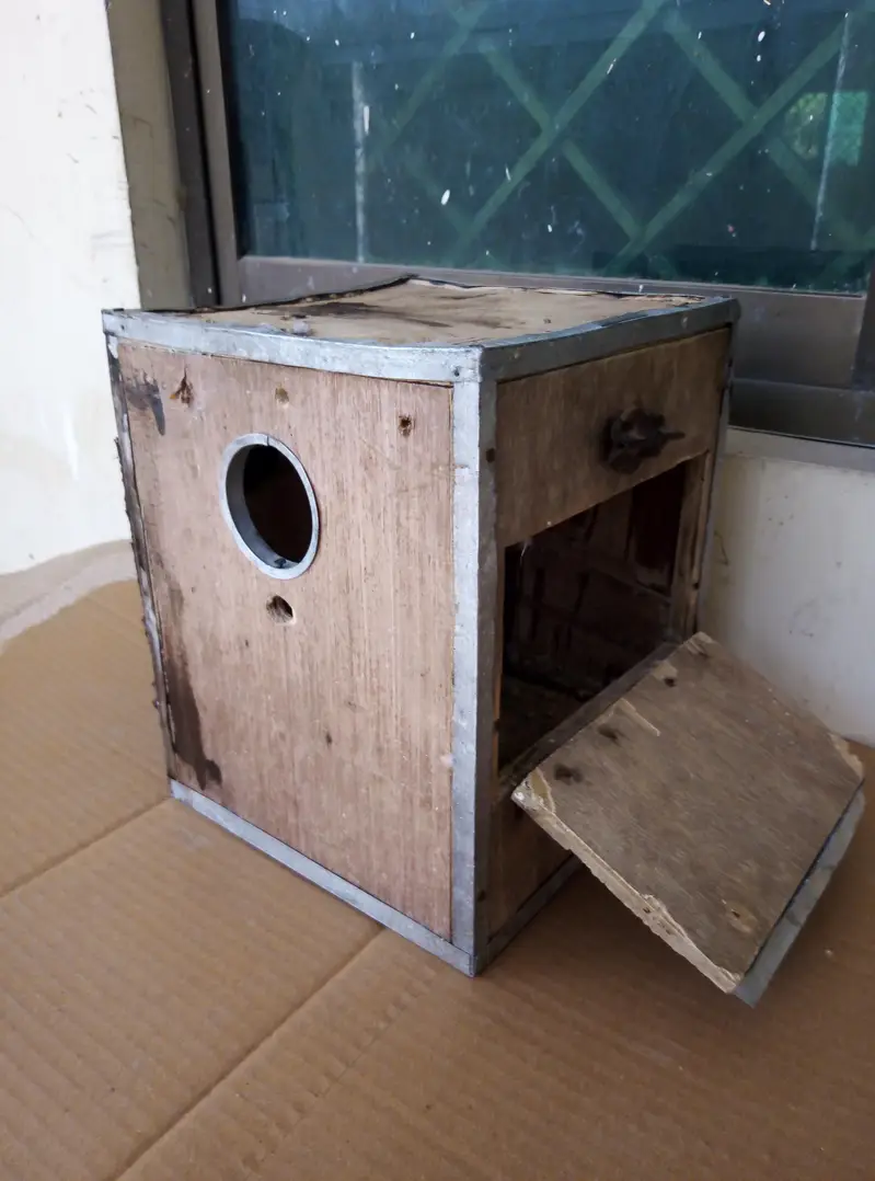 Breefing Boxes for sale Read full ad 03129196869 — photo 10