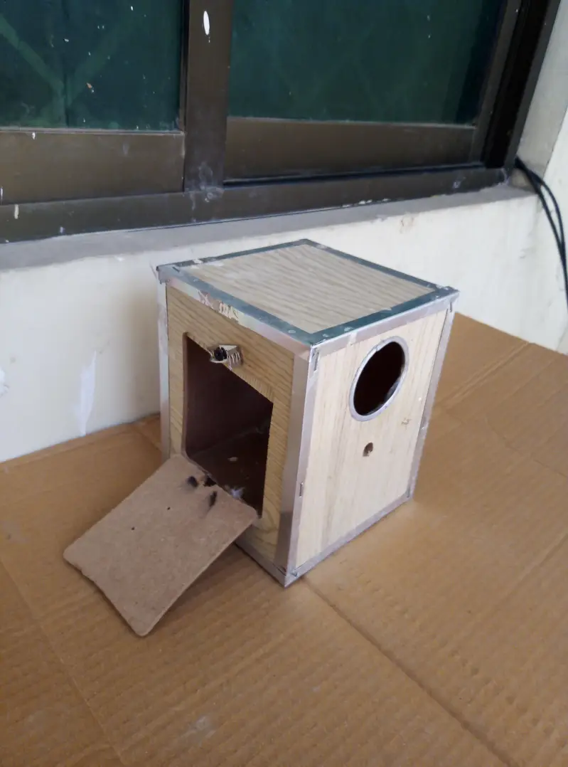 Breefing Boxes for sale Read full ad 03129196869 — photo 12