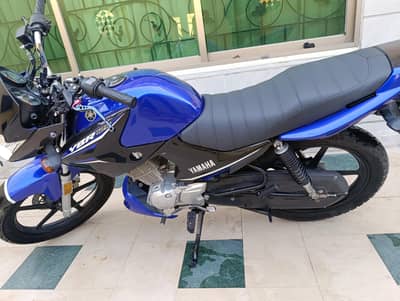 Yamaha YBR 2023