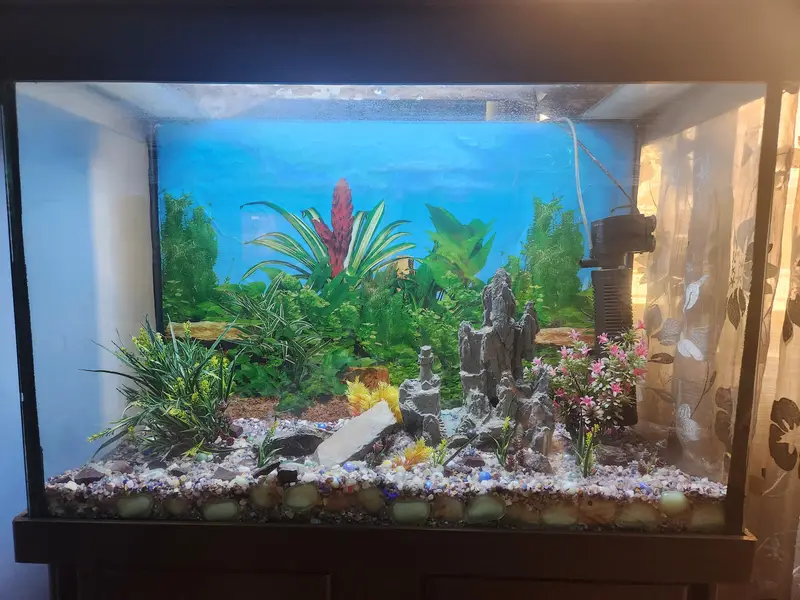 Fish Aquarium — photo 2