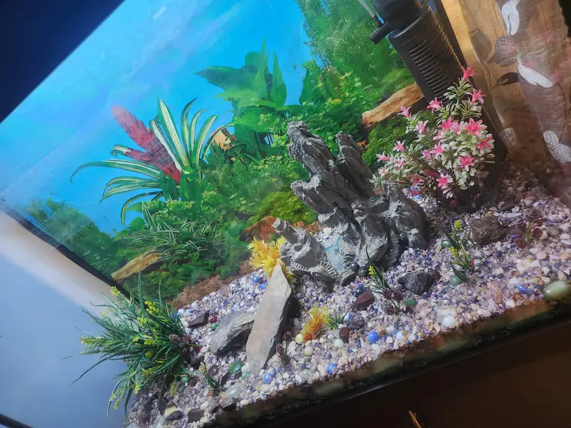 Fish Aquarium — photo 3