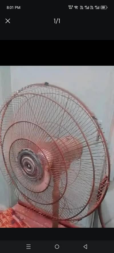 gri colar