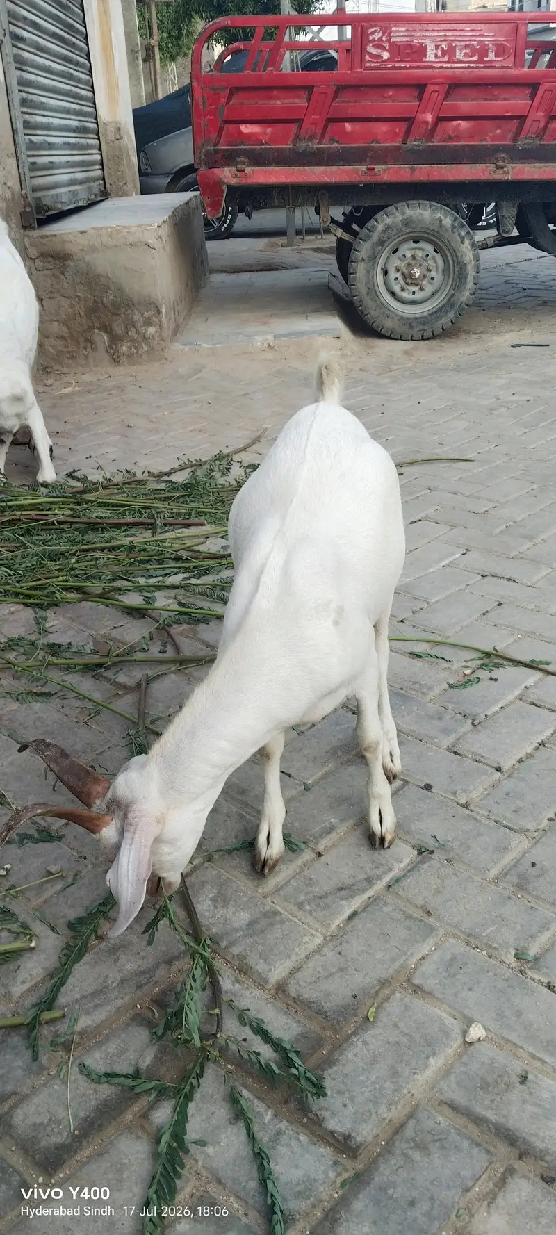 4 month se 2 sal tak bakery aur kareyan — photo 10