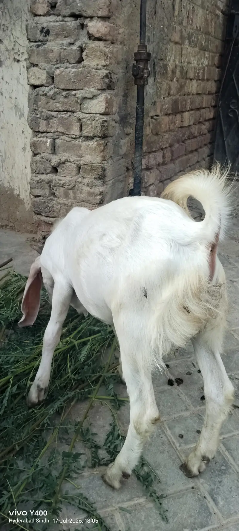 4 month se 2 sal tak bakery aur kareyan — photo 12