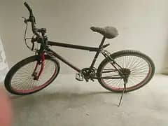Chicago Bicycle