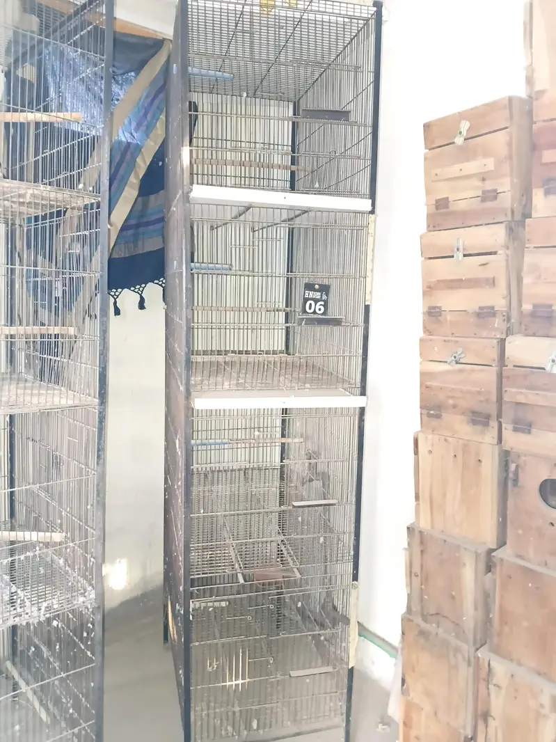 love bird cages — photo 2
