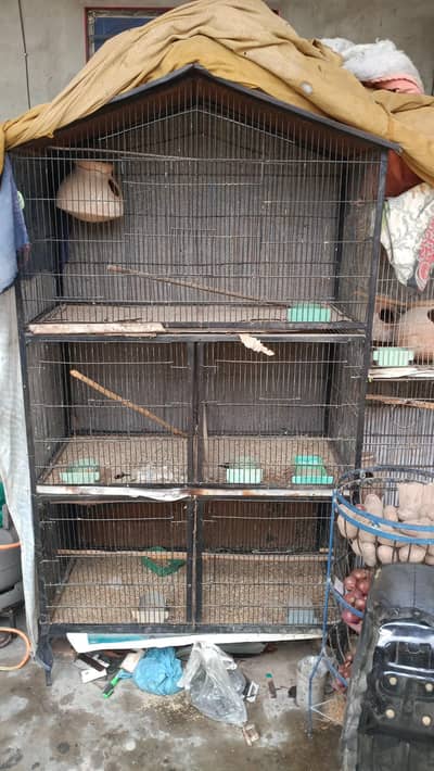 five portion angle cage for parrots