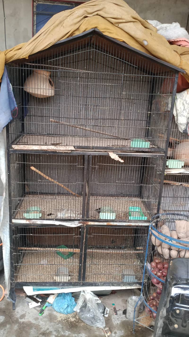 five portion angle cage for parrots 1