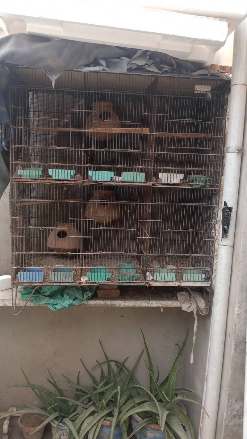five portion angle cage for parrots 3
