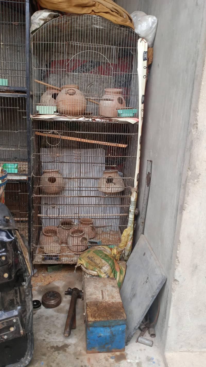 five portion angle cage for parrots 4