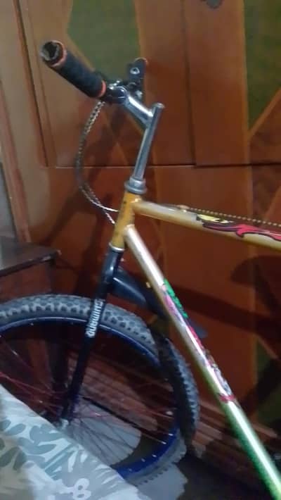 Willing bicycle