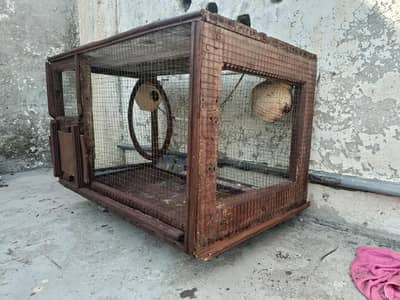 birds cage