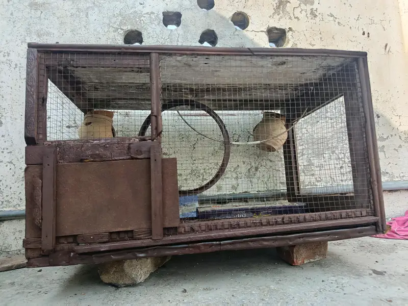 birds cage — photo 3
