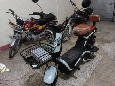 peddler Scooty for kids and adults
