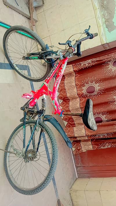 cycle