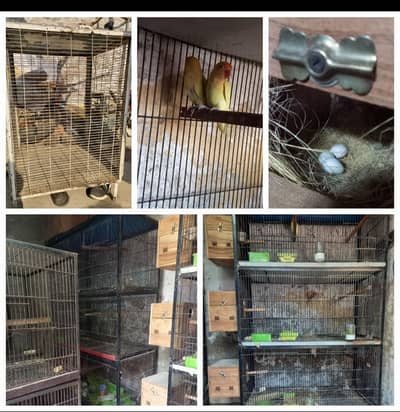 Lovebirds, Cages, Ports, Breeding Boxs For Sale