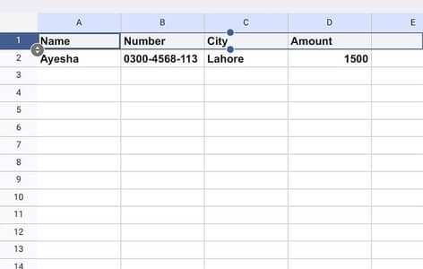 Mobile Data Entry Service_ Fast & Accurate