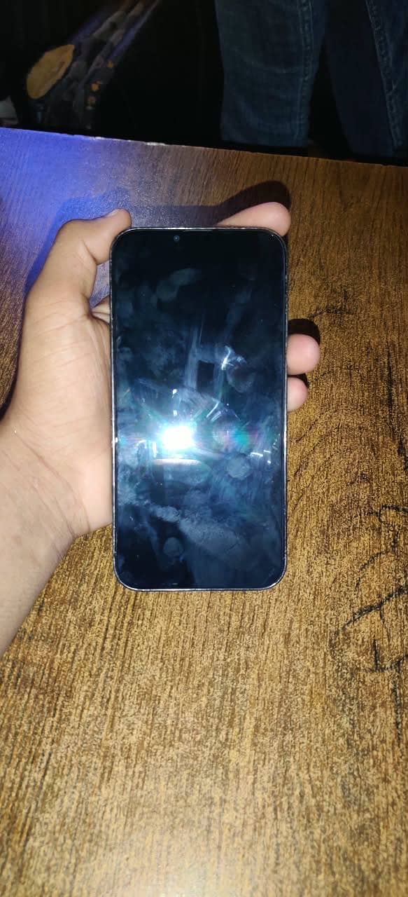 Apple iPhone 13 Pro Max 0