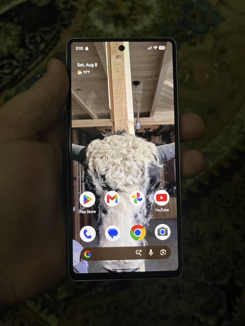 Google Pixel 7 3
