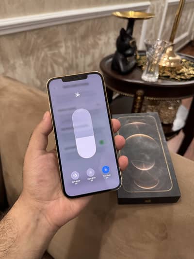 Apple iPhone 12 Pro Max