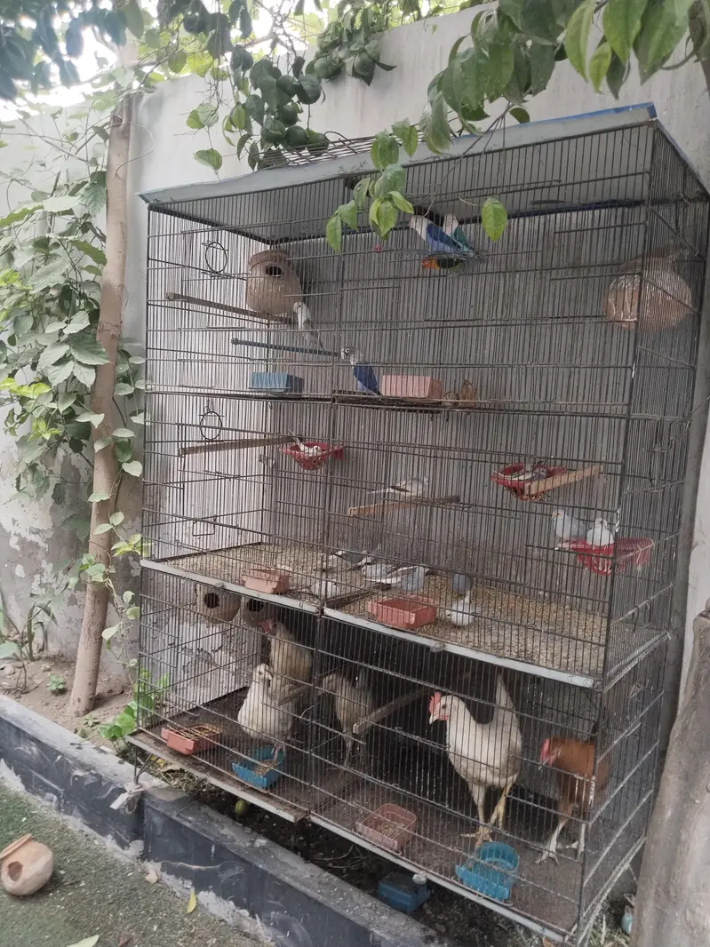 cage used