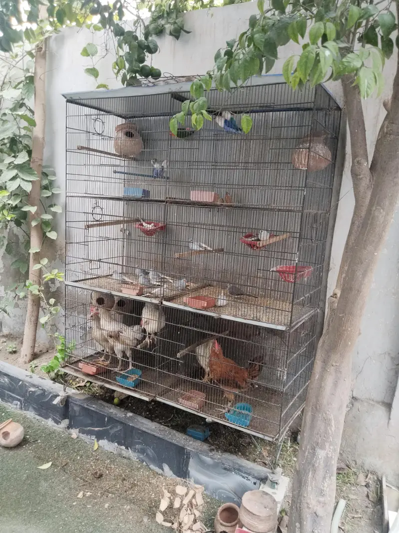 cage used — photo 4