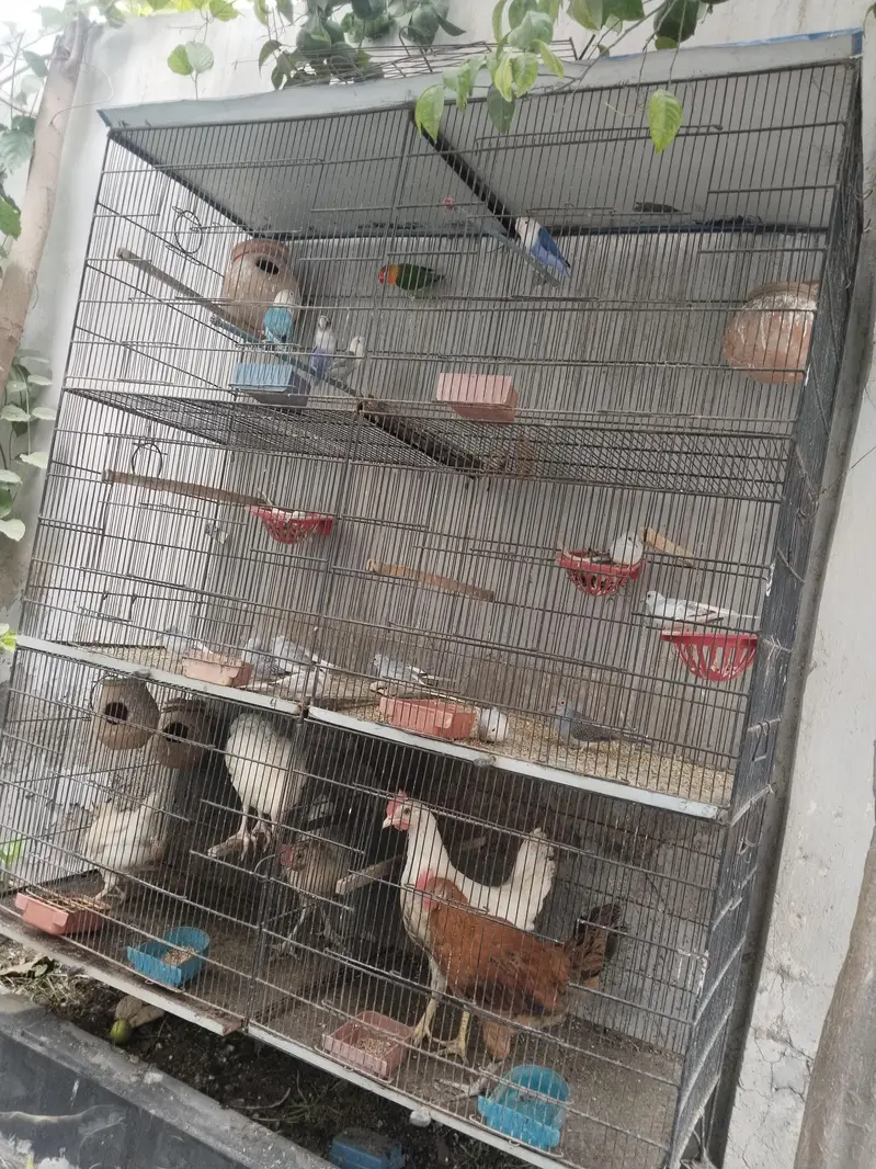 cage used — photo 5