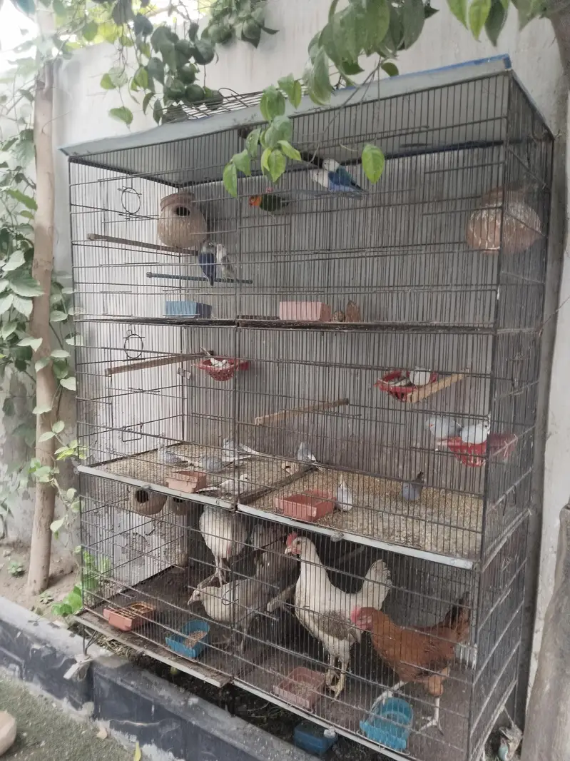 cage used — photo 6