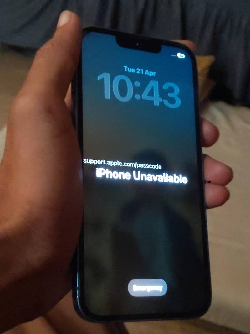 Apple iPhone 13 0