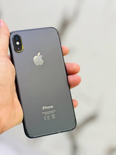Apple iPhone X