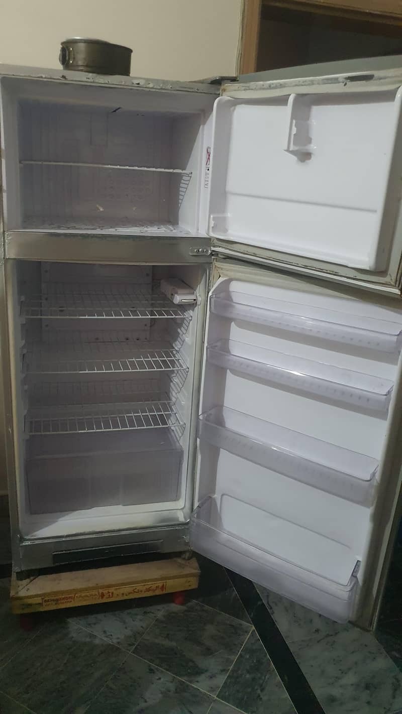 singer Fridge 1