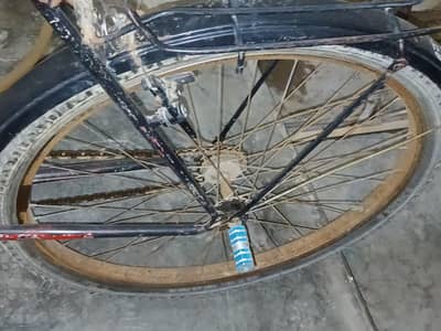 by cycle