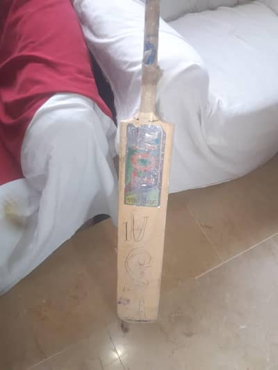 Used Cricket Bat – Good Condition | Budget Price
