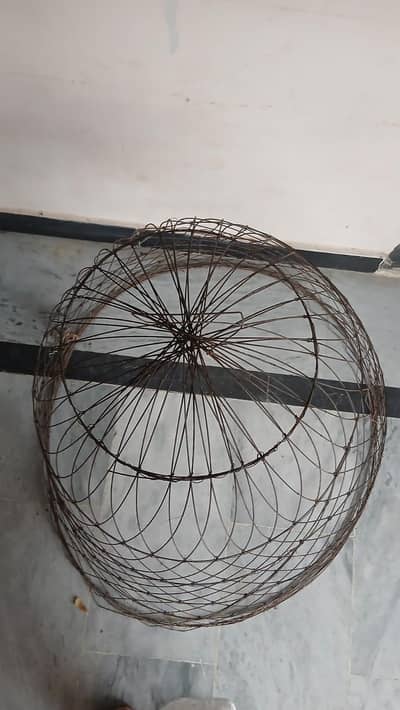 Hen Iron cage