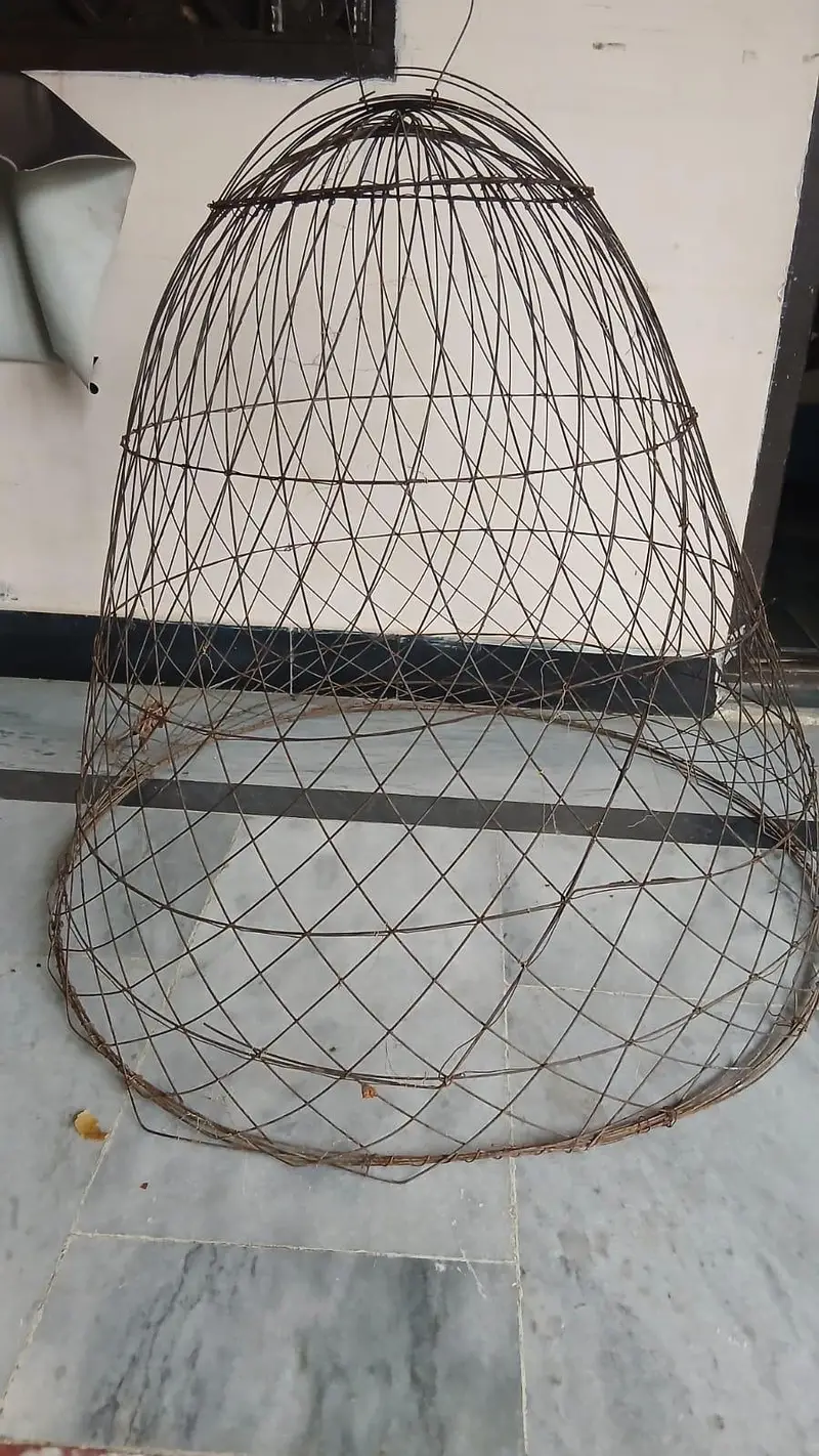 Hen Iron cage — photo 2