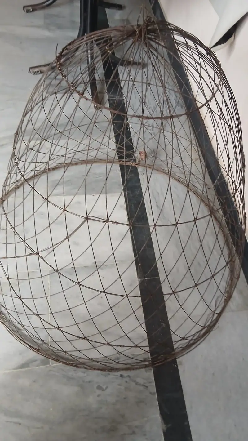 Hen Iron cage — photo 3
