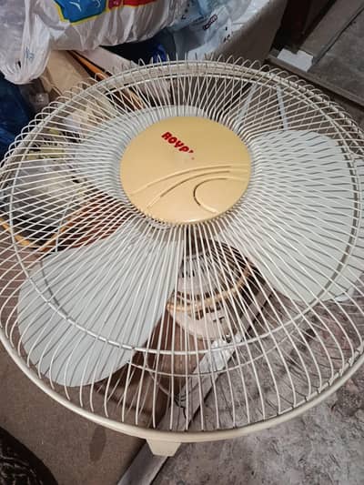 Royal Bracket fans
